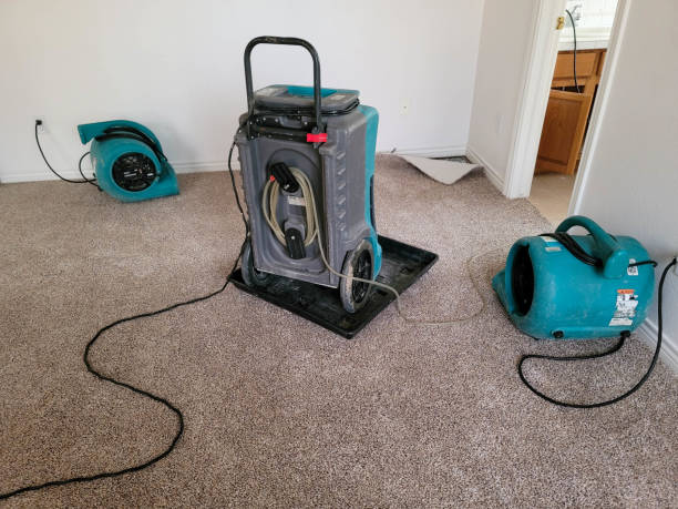 Best 24-hour water damage restoration  in Munhall, PA