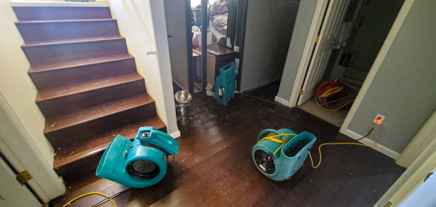 Best Water damage restoration near me  in Munhall, PA