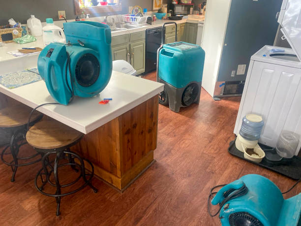 Best Water damage restoration mold remediation  in Munhall, PA