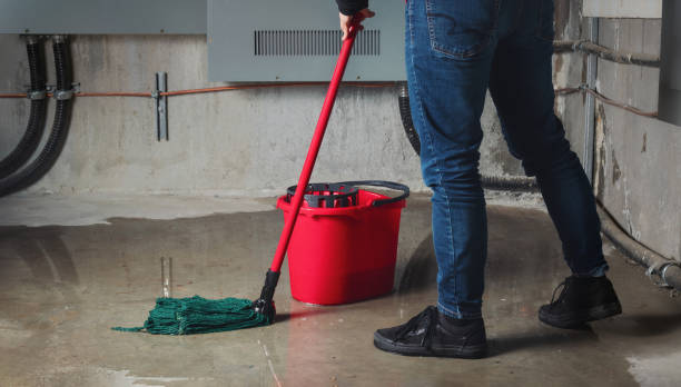 Best Water damage restoration near me  in Munhall, PA