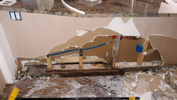 Best Water damage contractors near me  in Munhall, PA