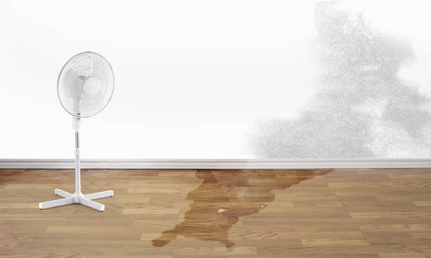 Best 24/7 water damage repair  in Munhall, PA