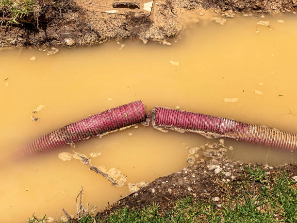 Best Emergency water damage restoration  in Munhall, PA