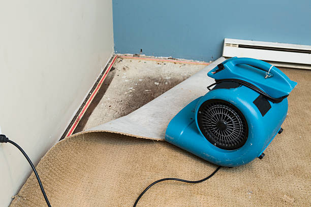 Best Commercial water damage restoration  in Munhall, PA